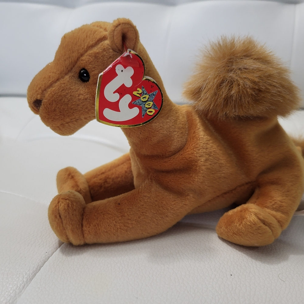 Ty " Niles" the Camel